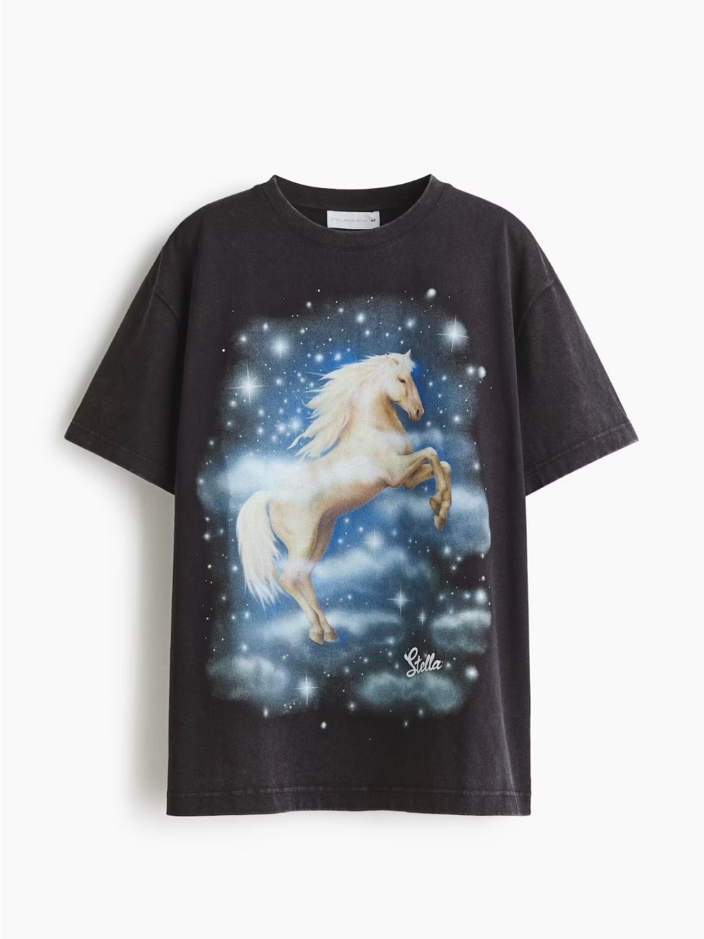 Stella McCartney H&M Oversized Printed T-shirt